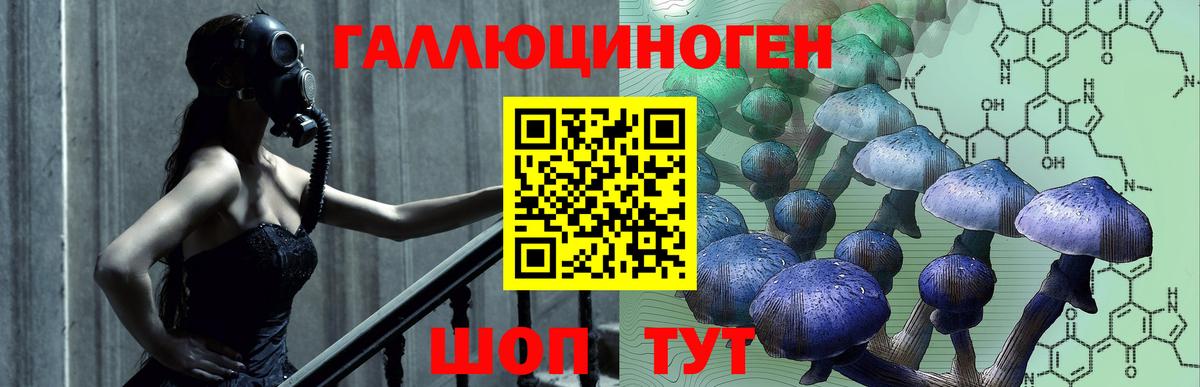 Курганинск  Псилоцибиновые грибы прущие грибы  продажа наркотиков  Галлюциногенные грибы ЛСД  Вход с VPN 